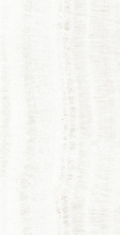 OL Onyx White Polished 12 x 24